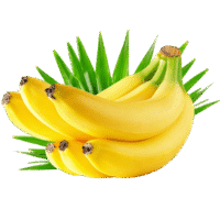 Fresh Banana