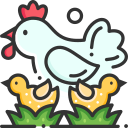 Philemonlife